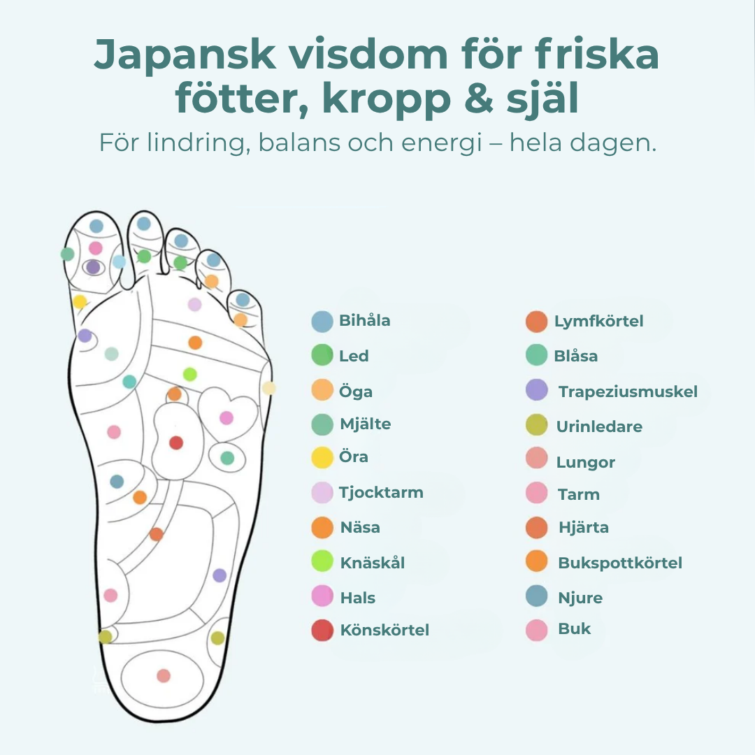 Zensole™ | Tab dig for hvert skridt