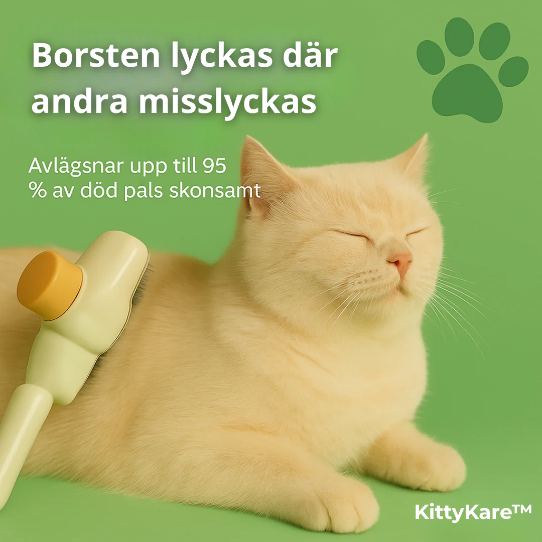 KittyKare™ | Kattborsten som stoppar fällning och håller hemmet rent