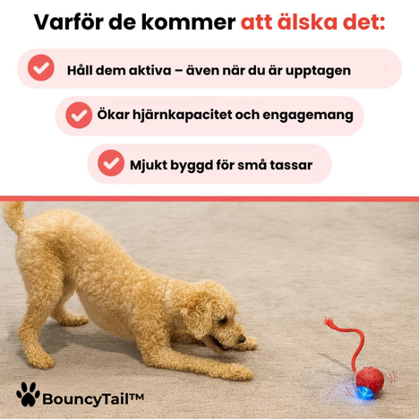 BouncyTail™ l Speedy Tail 2.0