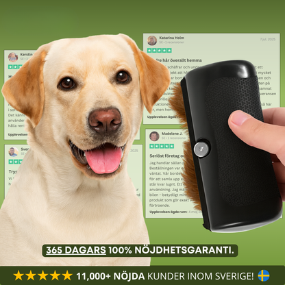 CoatControl™ – Hundborste som stoppar fällning och håller hemmet rent