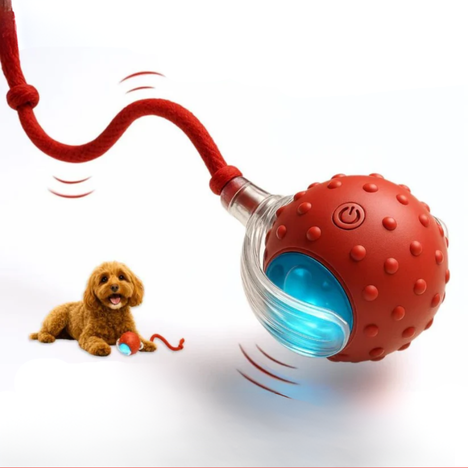 BouncyTail™ l Speedy Tail 2.0