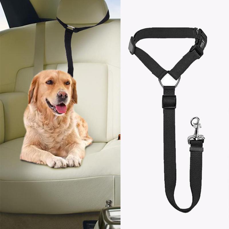 PawSecure™ | Car Leash 1+1 GRATIS: Justerbart säkerhetsbälte för husdjur i bilen