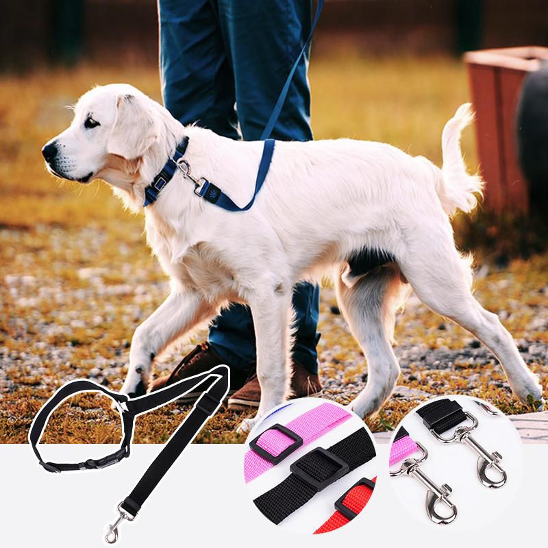 PawSecure™ | Car Leash 1+1 GRATIS: Justerbart säkerhetsbälte för husdjur i bilen