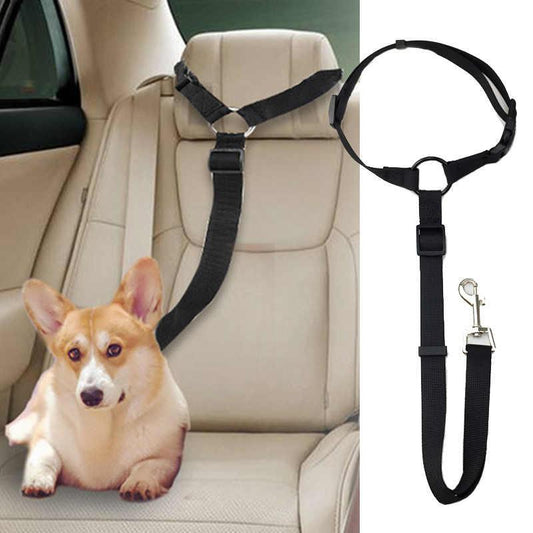 PawSecure™ | Car Leash 1+1 GRATIS: Justerbart säkerhetsbälte för husdjur i bilen