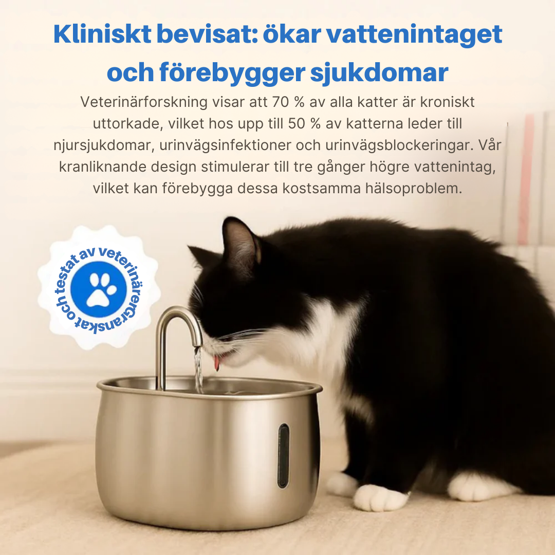 PawPour™ | Hälsosam automatisk vattenfontän i rostfritt stål för husdjur