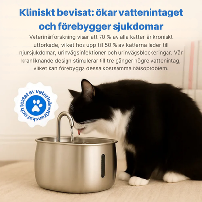 PawPour™ | Hälsosam automatisk vattenfontän i rostfritt stål för husdjur
