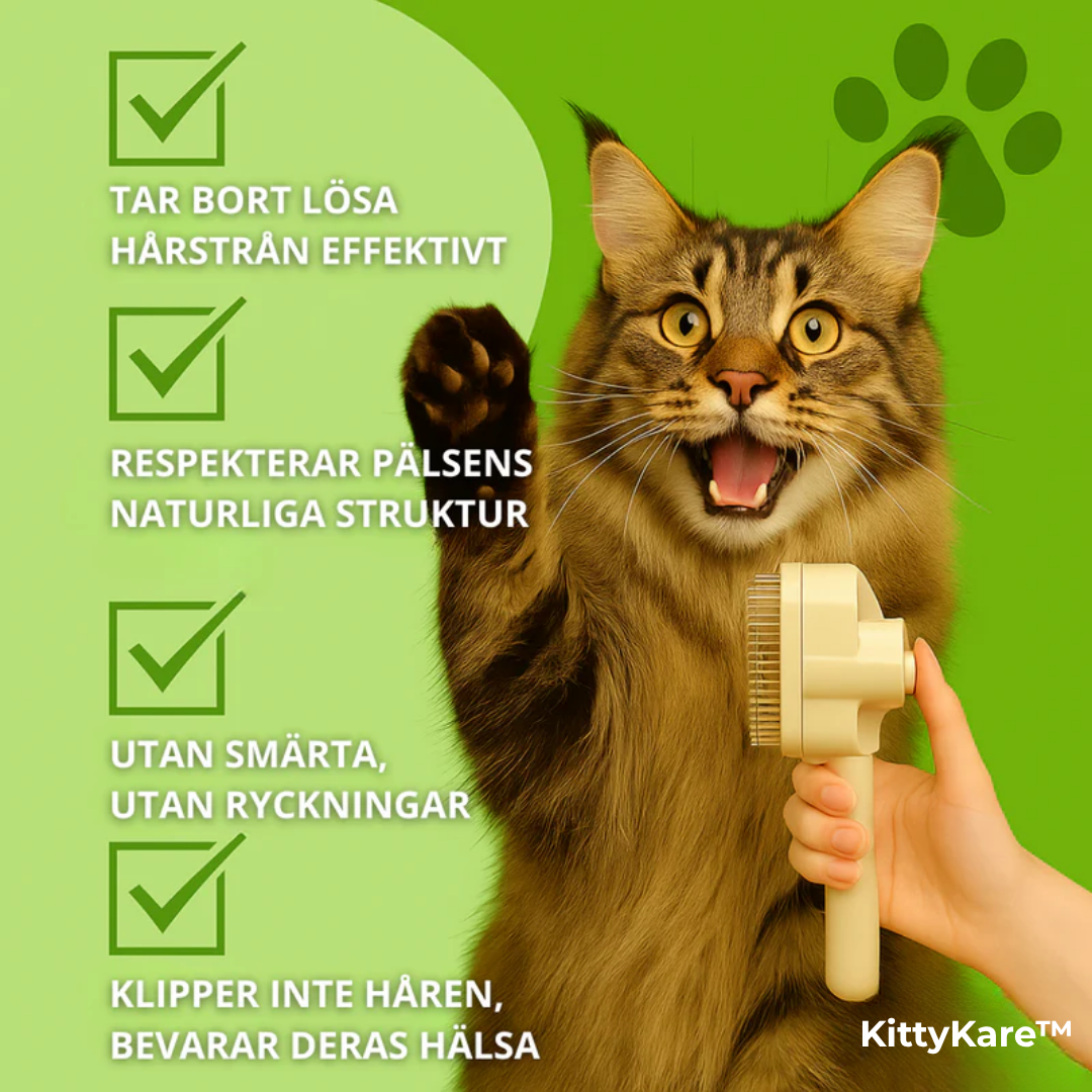KittyKare™ | Kattborsten som stoppar fällning och håller hemmet rent