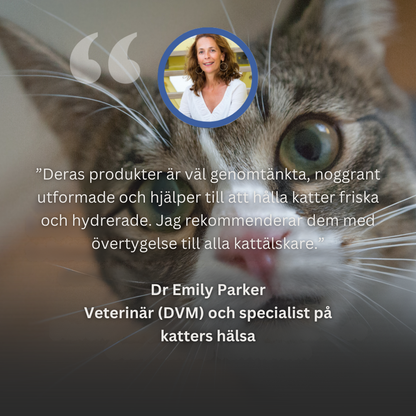 PawPour™ | Hälsosam automatisk vattenfontän i rostfritt stål för husdjur