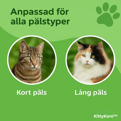KittyKare™ | Kattborsten som stoppar fällning och håller hemmet rent