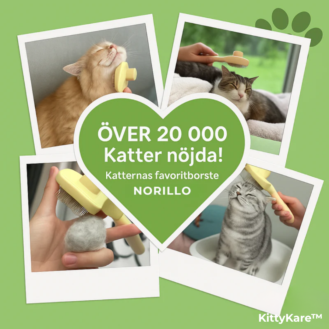KittyKare™ | Kattborsten som stoppar fällning och håller hemmet rent