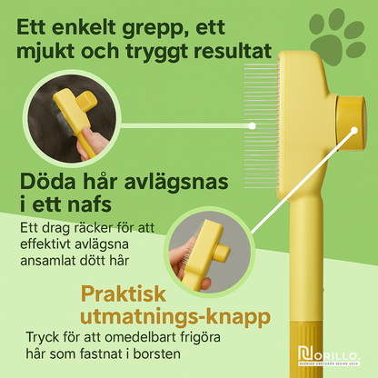 KittyKare™ | Kattborsten som stoppar fällning och håller hemmet rent