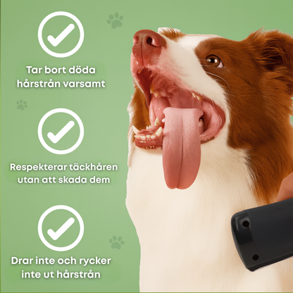 CoatControl™ – Hundborste som stoppar fällning och håller hemmet rent
