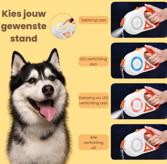 BrightWalk™ | Nattutgåvan