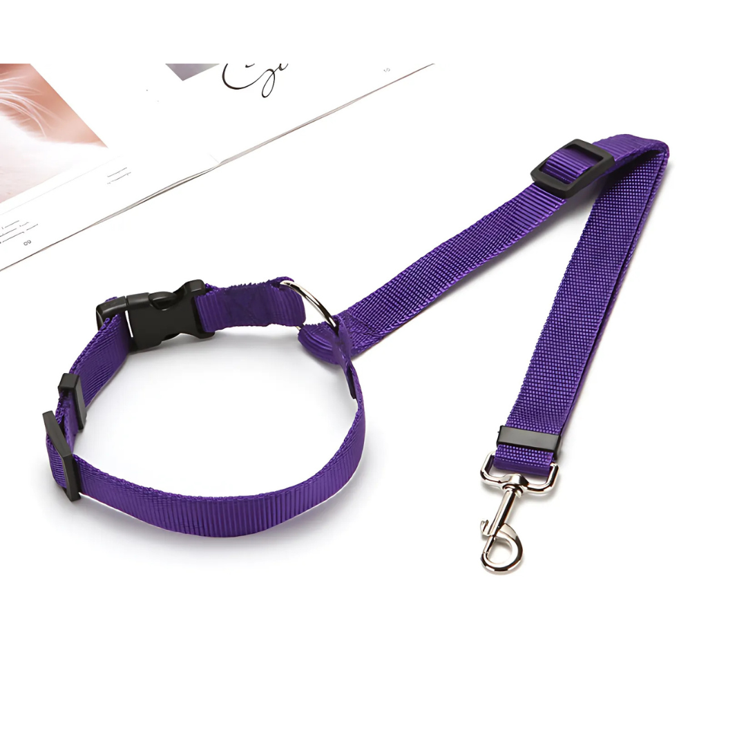 PawSecure™ | Car Leash 1+1 GRATIS: Justerbart säkerhetsbälte för husdjur i bilen