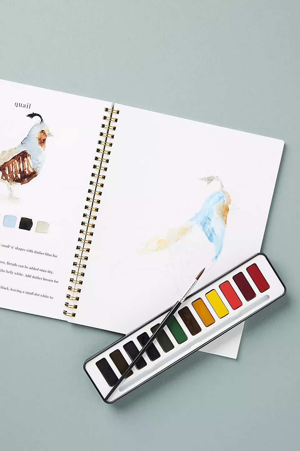 Bloom™ | Skapa lugn med varje penseldrag